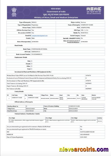 India Udyam registration certificate, version 6